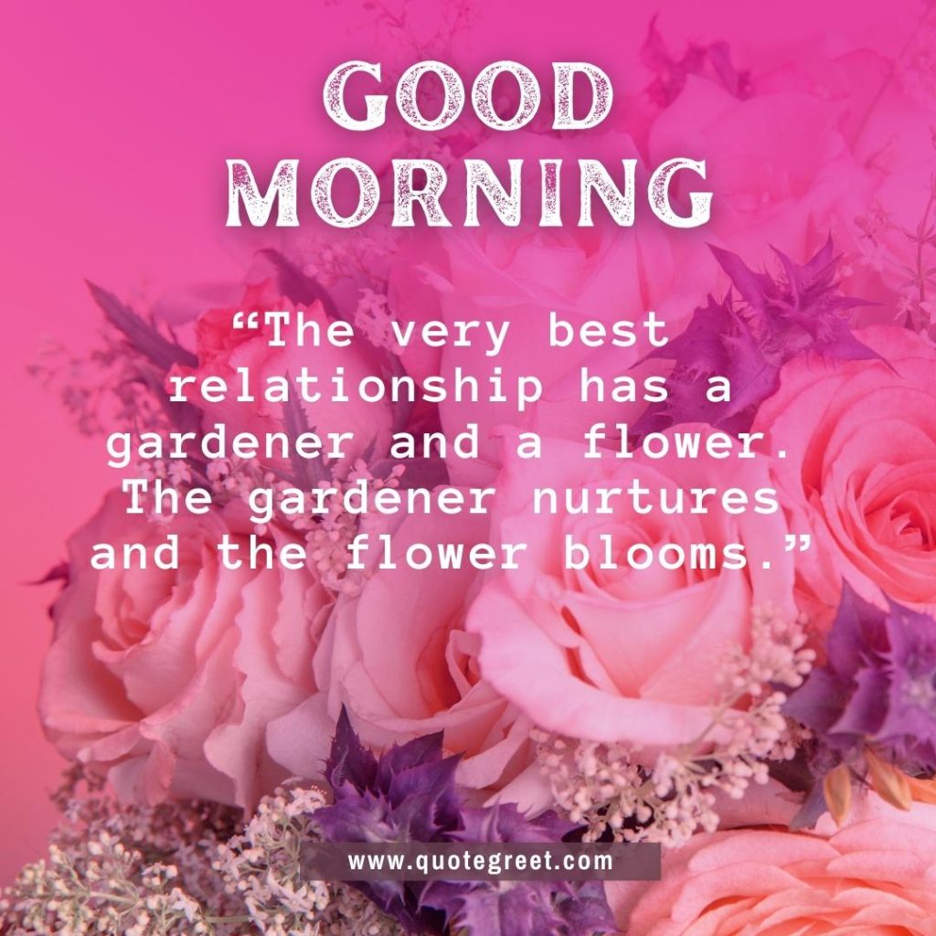 cute-good-morning-pink-rose-flower-bouquetimage-images-piture-pic-pictures-photo-photos-wish-wishes-messages-bookey-booke