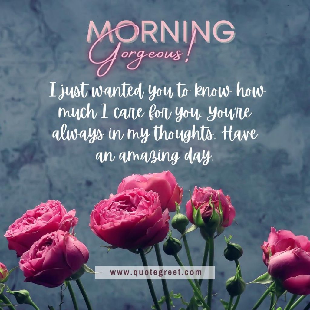 cute-romantic-good-morning-gorgeous-pink-rose-flower-image-images-piture-pic-pictures-photo-photos-wish-wishes