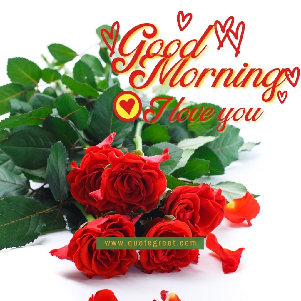 57 Beautiful Good Morning Red Rose Images |Wishes |Messages - QuoteGreet