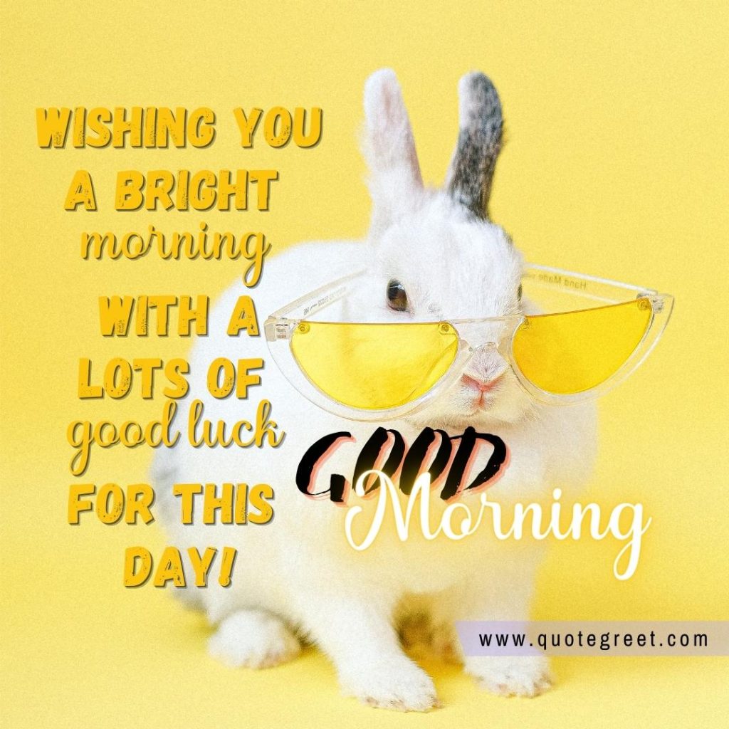 25 Cute Good Morning Rabbit Images |Wishes |Messages - QuoteGreet