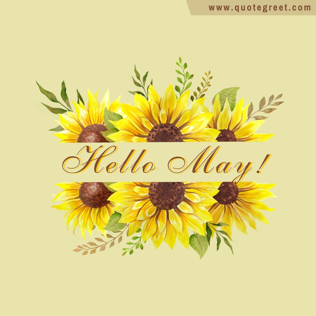 25 Cute Hello May Images (2023) (FREE) - QuoteGreet