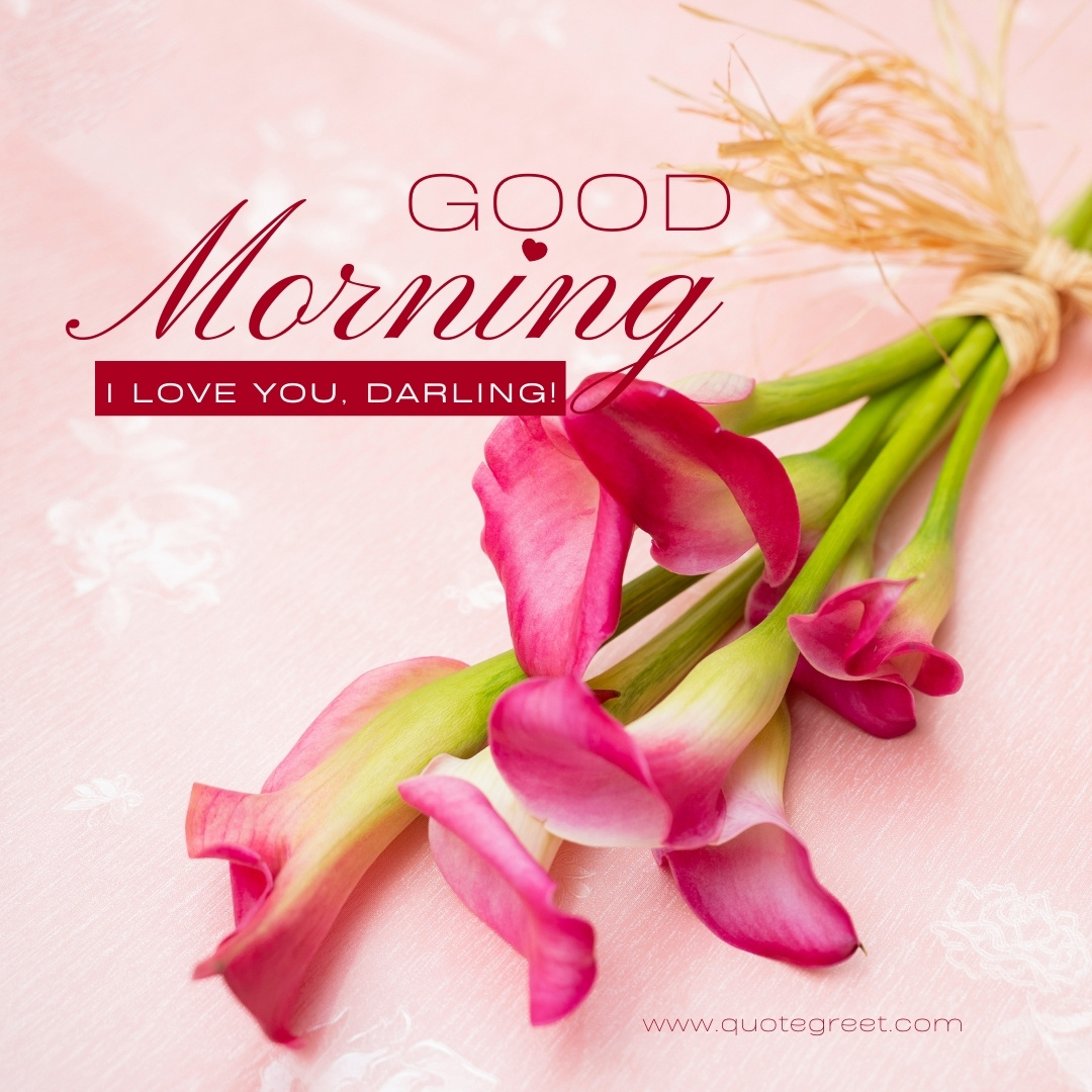 49 Beautiful Good Morning Lily Flower Images |Quotes |Wishes |Messages ...