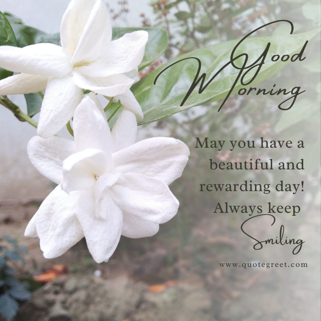 25 Beautiful Good Morning Jasmine Flower Images And Quotes QuoteGreet