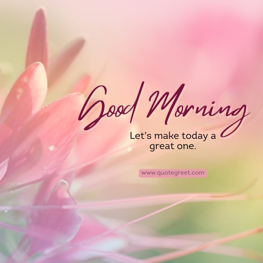 25 Lovely Good Morning Pink Flower Images Quotes Wishes QuoteGreet