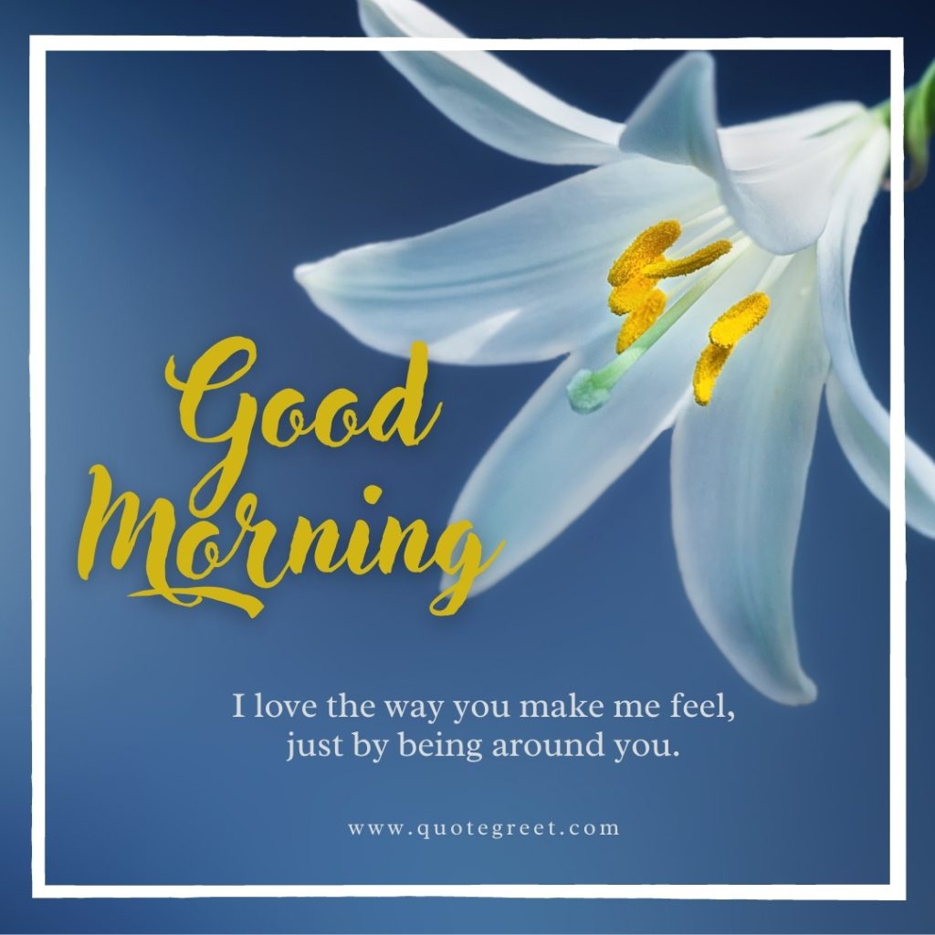 49 Beautiful Good Morning Lily Flower Images |Quotes |Wishes |Messages ...