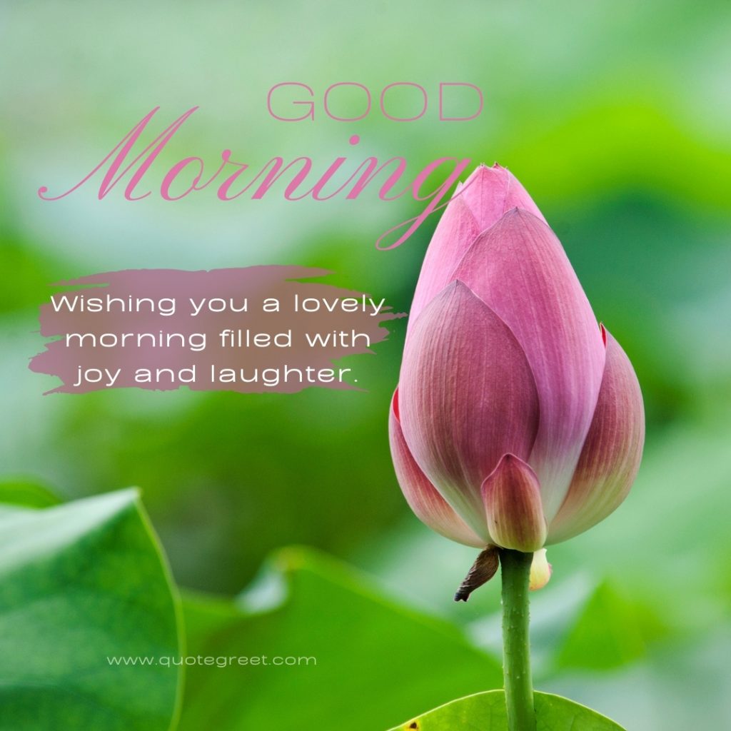 45+ Beautiful Good Morning Lotus Flower Images |Quotes |Wishes ...