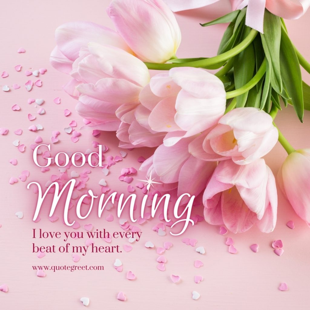 25 Lovely Good Morning Pink Flower Images |Quotes |Wishes - QuoteGreet