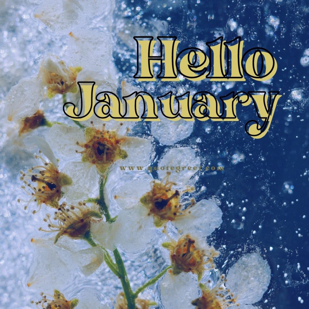 39 Cute Hello January Images 2023 |Quotes (FREE) - QuoteGreet